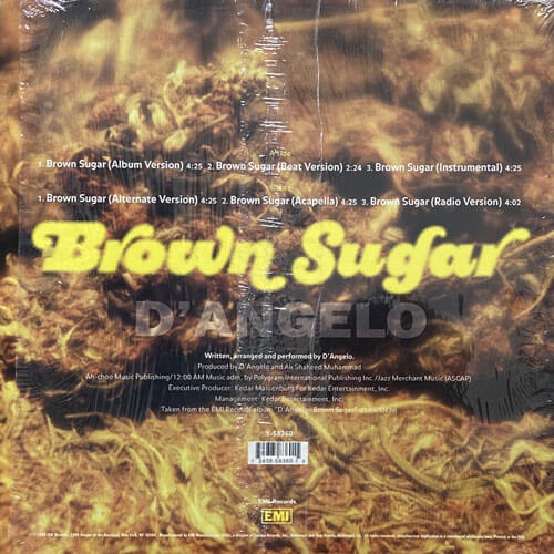 D'ANGELO / BROWN SUGAR – VINYL CHAMBER