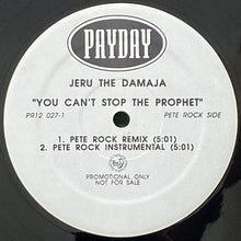 画像をギャラリービューアに読み込む, JERU THE DAMAJA / YOU CAN&#39;T STOP THE PROPHET

