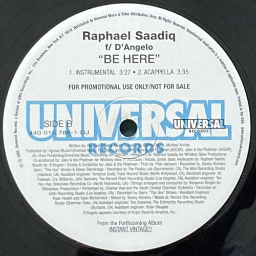 RAPHAEL SAADIQ featuring D'ANGELO / BE HERE – VINYL CHAMBER