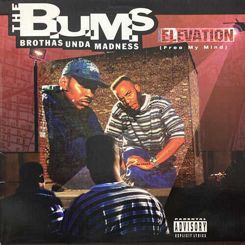 B.U.M.S. / ELEVATION/6 FIGURES AND UP