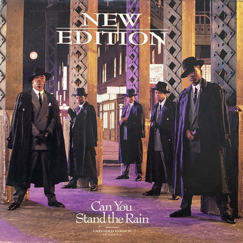 NEW EDITON / CAN YOU STAND THE RAIN/IF IT ISN'T LOVE