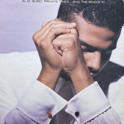 AL B. SURE! / PRIVATE TIMES...AND THE WHOLE 9!
