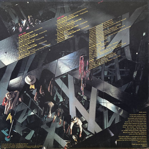 WILSON WILLIAMS / UP THE DOWNSTAIRS – VINYL CHAMBER