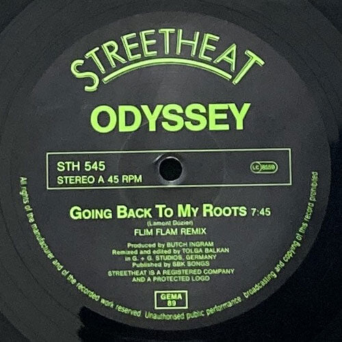 ODYSSEY / GOING BACK TO MY ROOTS (FLIM FLAM REMIX) – VINYL CHAMBER